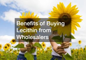 Benefits of Buying Lecithin from Wholesalers